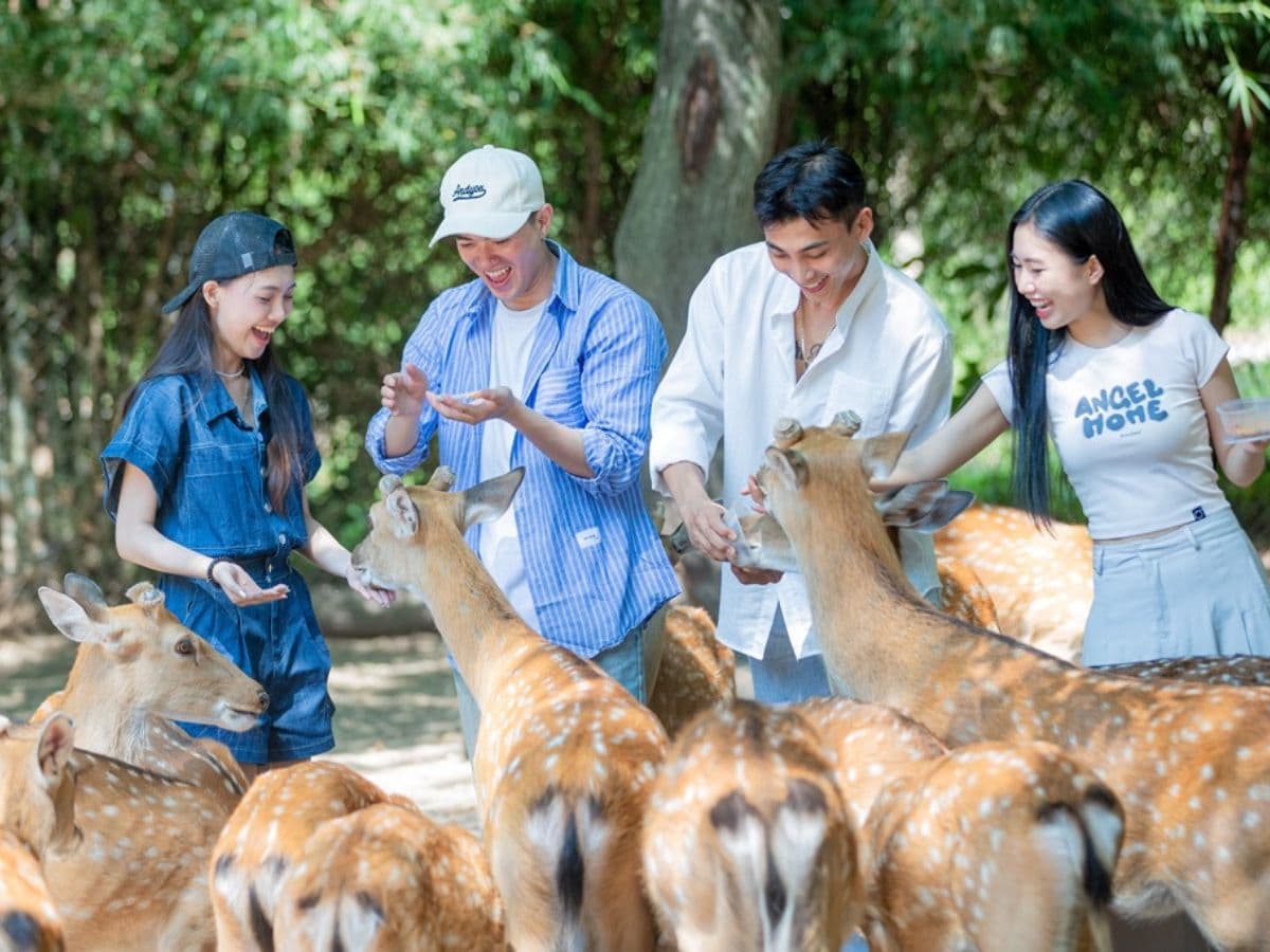 kinh nghiệm du lịch đảo hoa lan nha trang