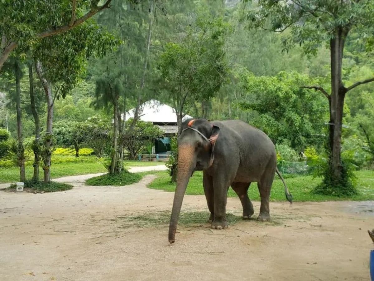 kinh nghiệm du lịch đảo hoa lan nha trang