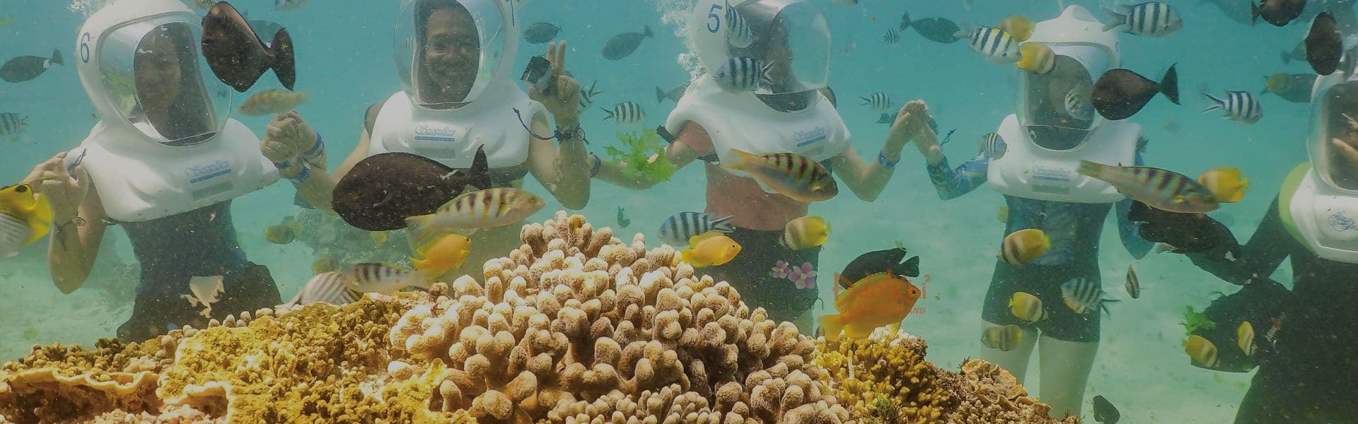 Tour Đi Bộ Dưới Đáy Biển Nha Trang