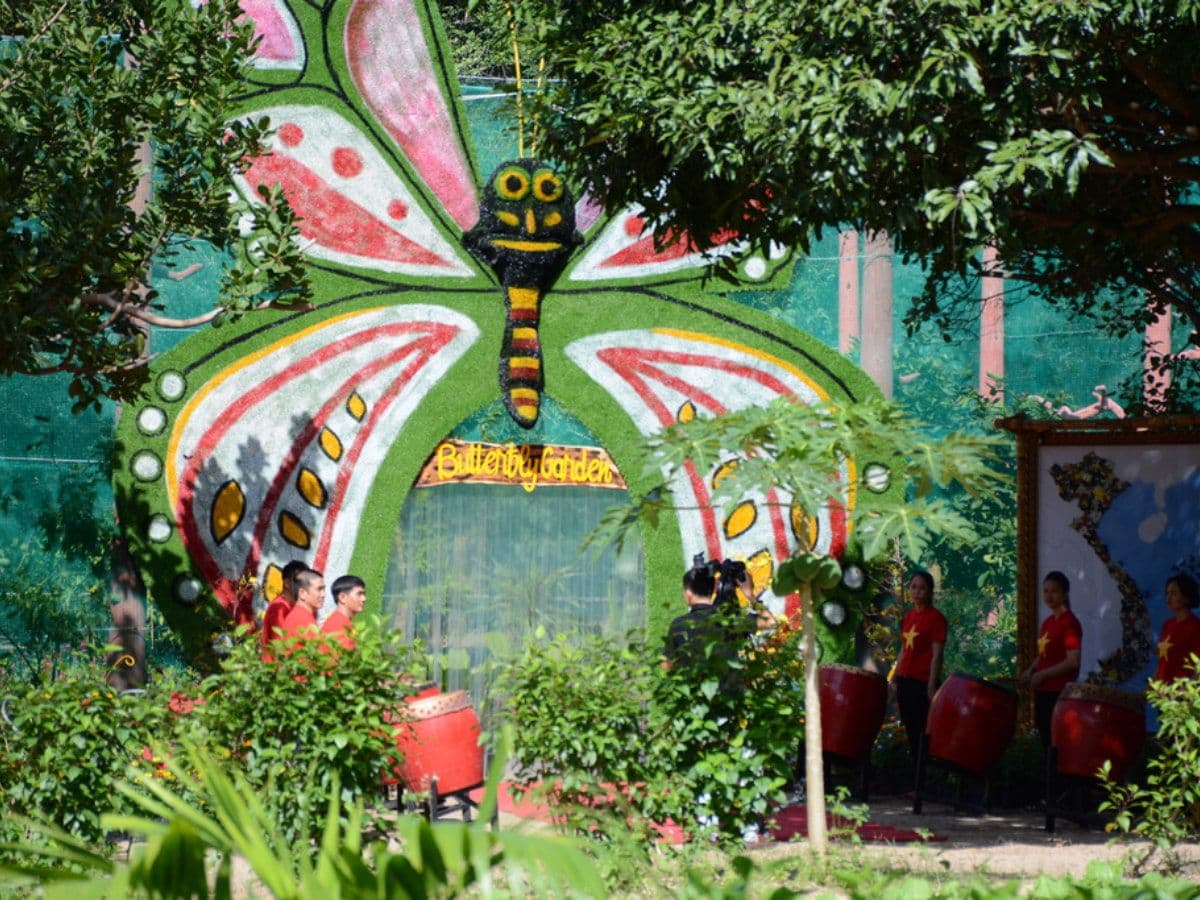vé đảo hoa lan nha trang