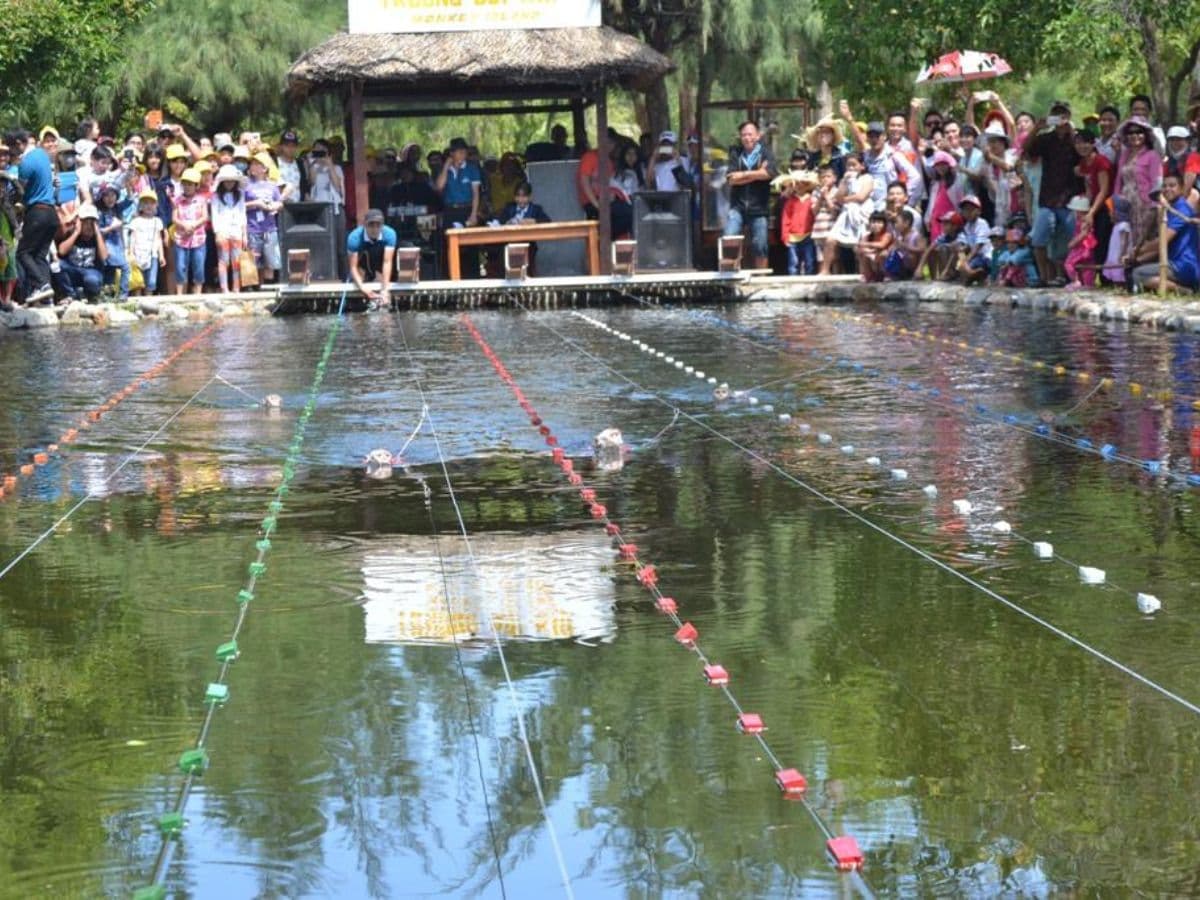 vé đảo khỉ nha trang