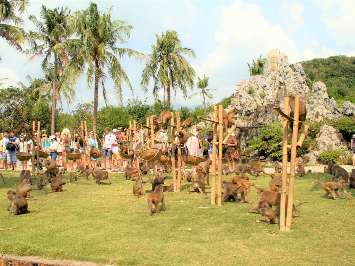 vé đảo khỉ nha trang